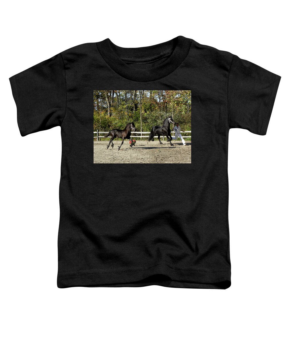 Friesian Horse Toddler T-Shirt featuring the photograph Mother and Son competing by Kim Galluzzo