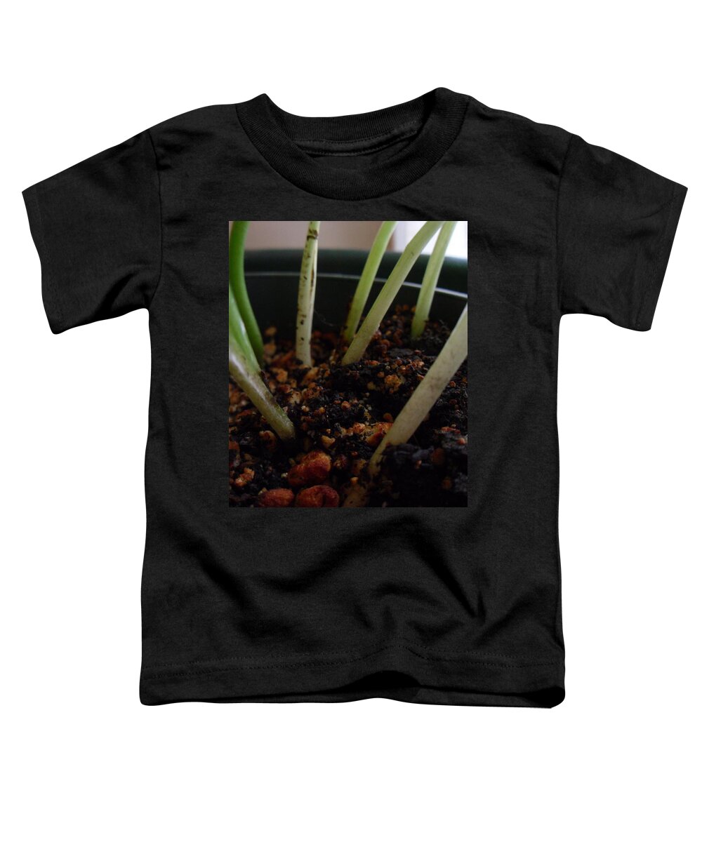  Toddler T-Shirt featuring the photograph My room up close 16 by Myron Belfast