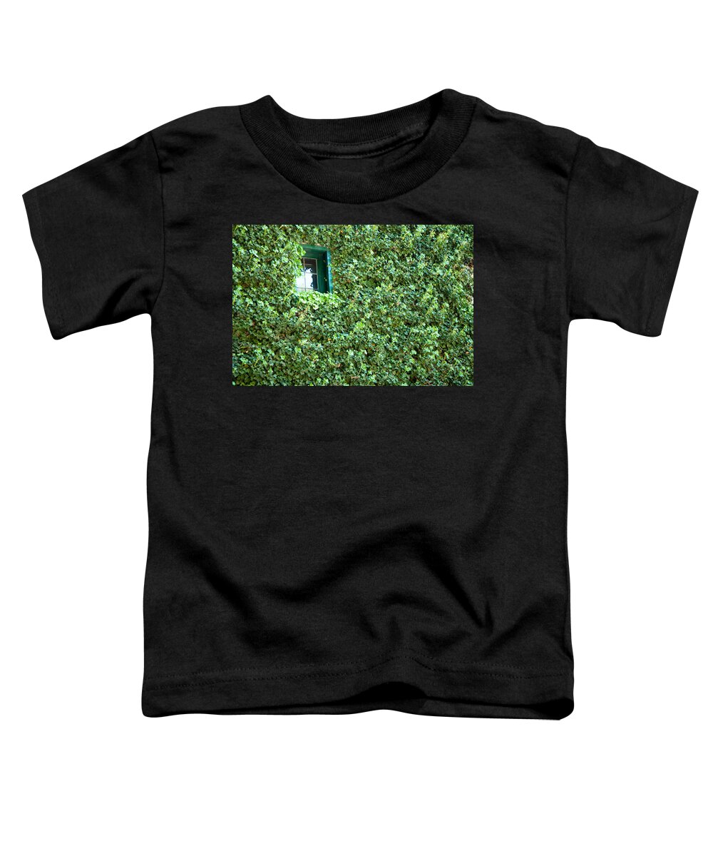 Napa Toddler T-Shirt featuring the photograph Napa Wine Cellar Window by Shane Kelly