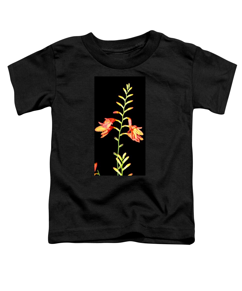 Flower Toddler T-Shirt featuring the photograph Nights Beauties by Kim Galluzzo
