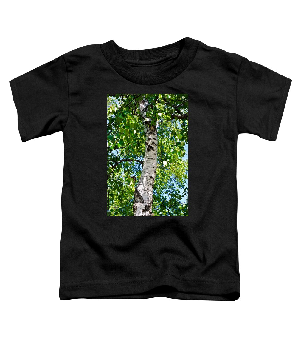 Birch Toddler T-Shirt featuring the photograph Nostalgia by Michael Goyberg