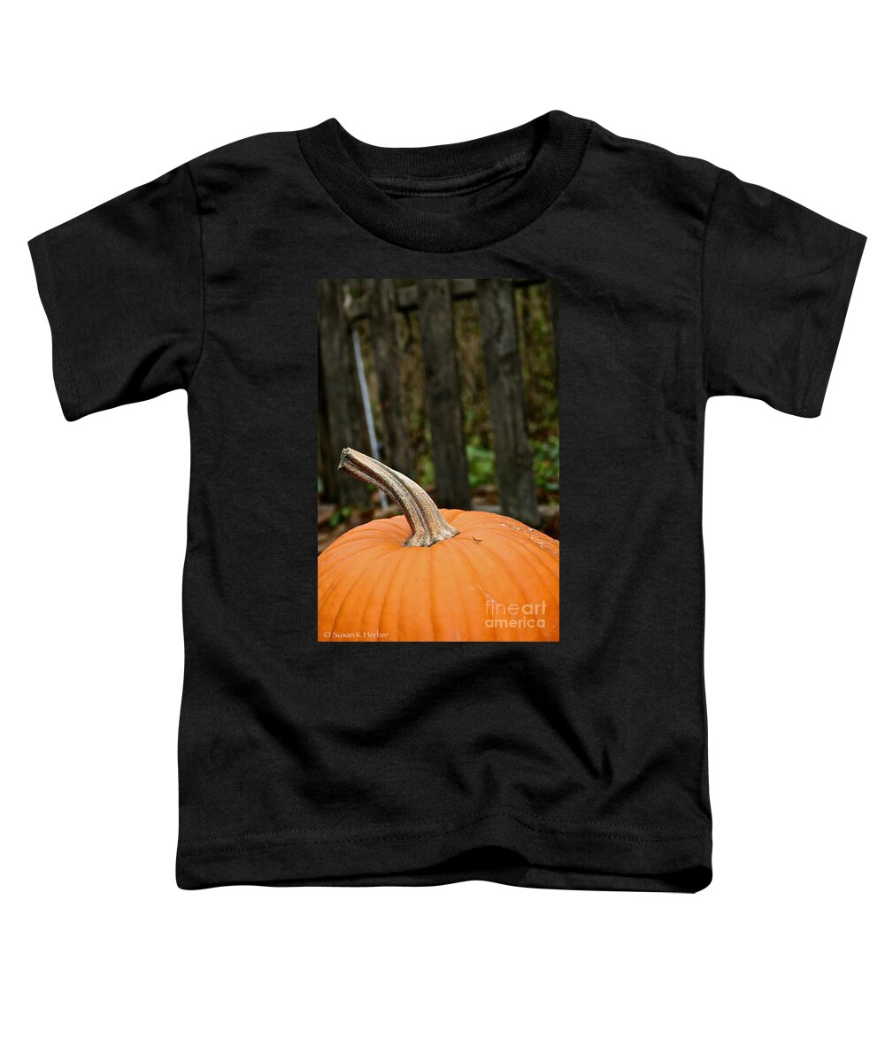 Outdoors Toddler T-Shirt featuring the photograph Orange Top by Susan Herber