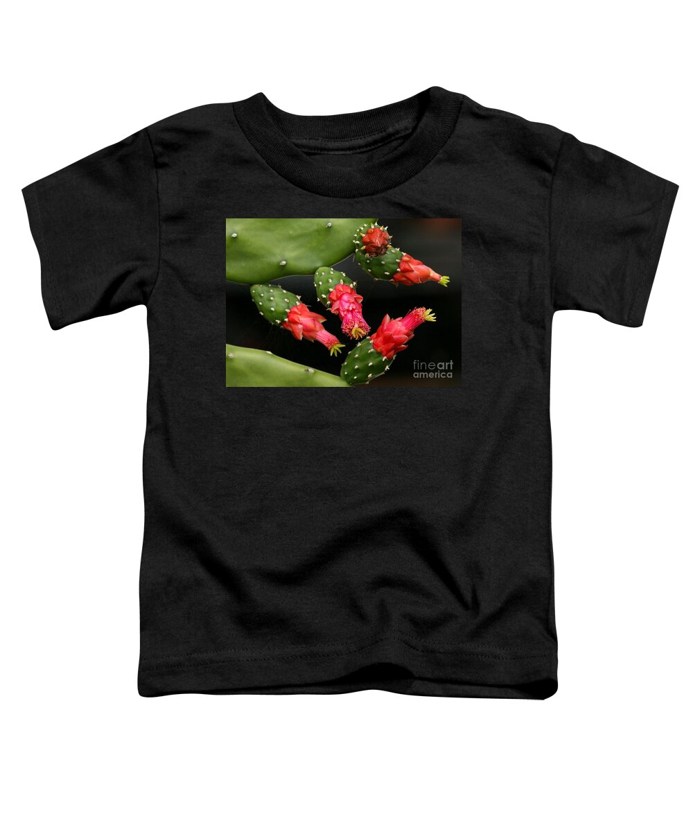 Art Toddler T-Shirt featuring the photograph Paddle Cactus Flowers by Sabrina L Ryan