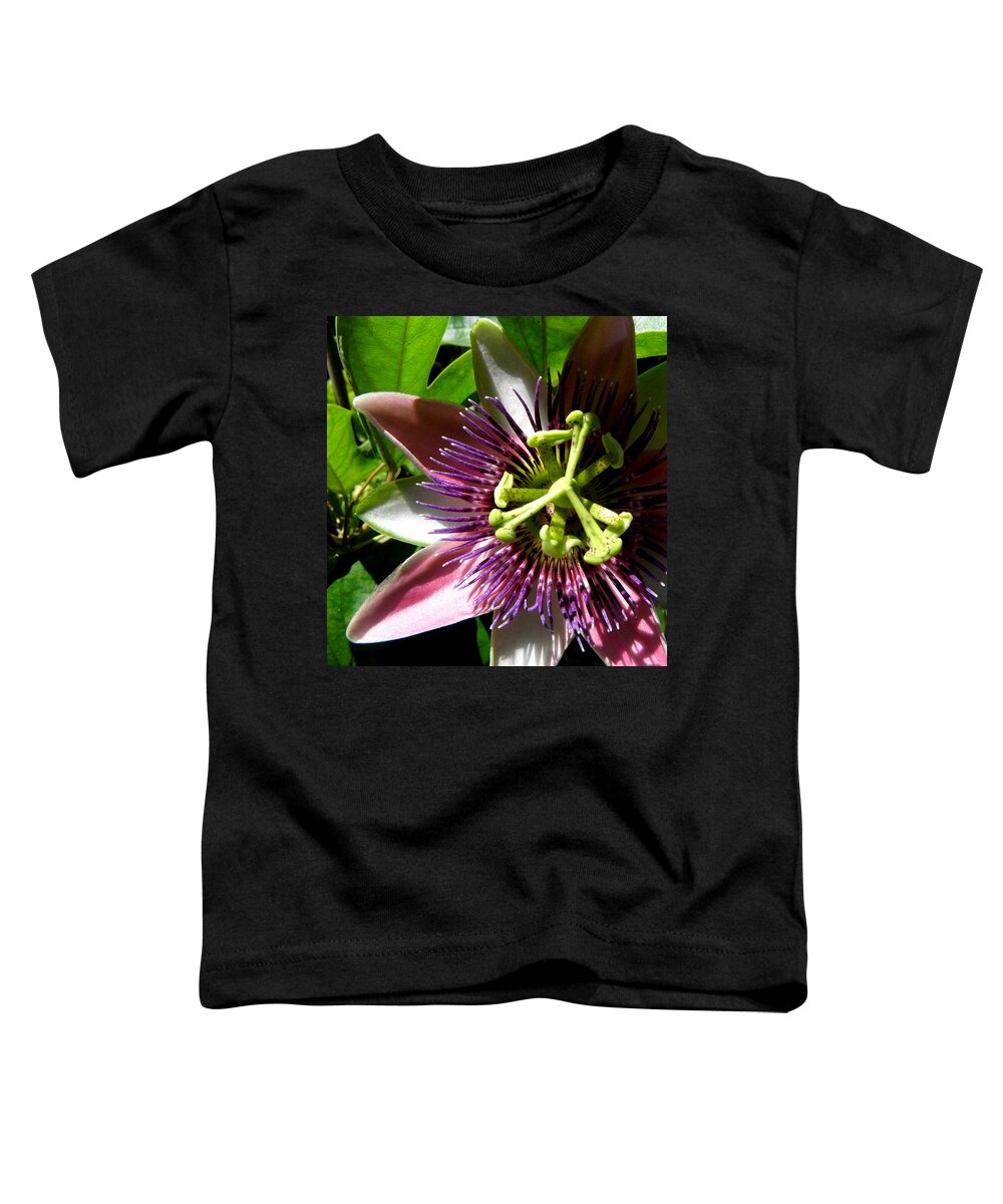 Passion Flower Toddler T-Shirt featuring the photograph Passionate Peeks by Kim Galluzzo