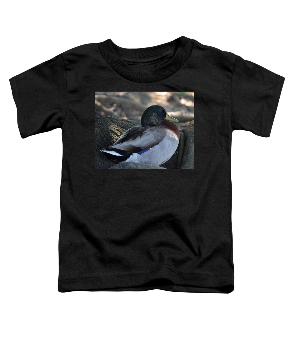 Duck Toddler T-Shirt featuring the photograph Peaceful Duck by Maggy Marsh
