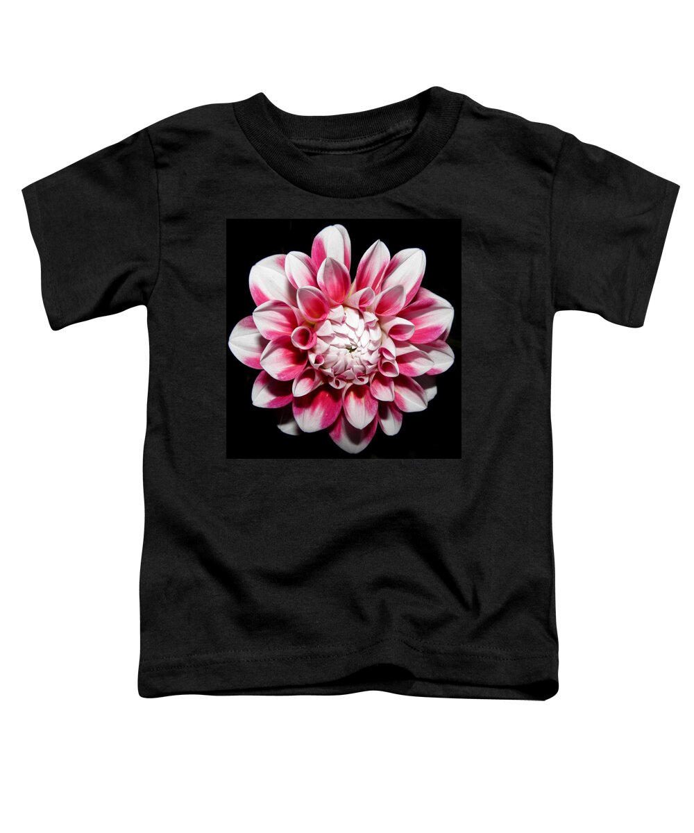 Dahlia Toddler T-Shirt featuring the photograph Pedals Of Beauty At Night by Kim Galluzzo