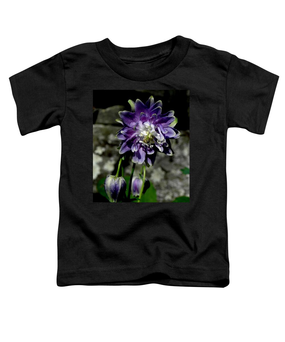 Purple Columbine Toddler T-Shirt featuring the photograph Purple Columbine by Kim Galluzzo Wozniak