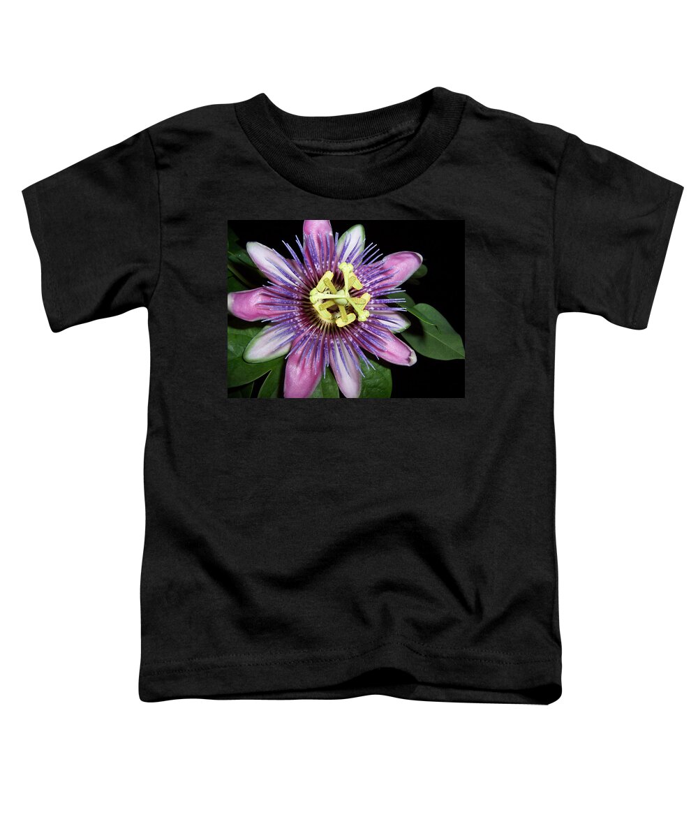 Purple Toddler T-Shirt featuring the photograph Purple Passions by Kim Galluzzo