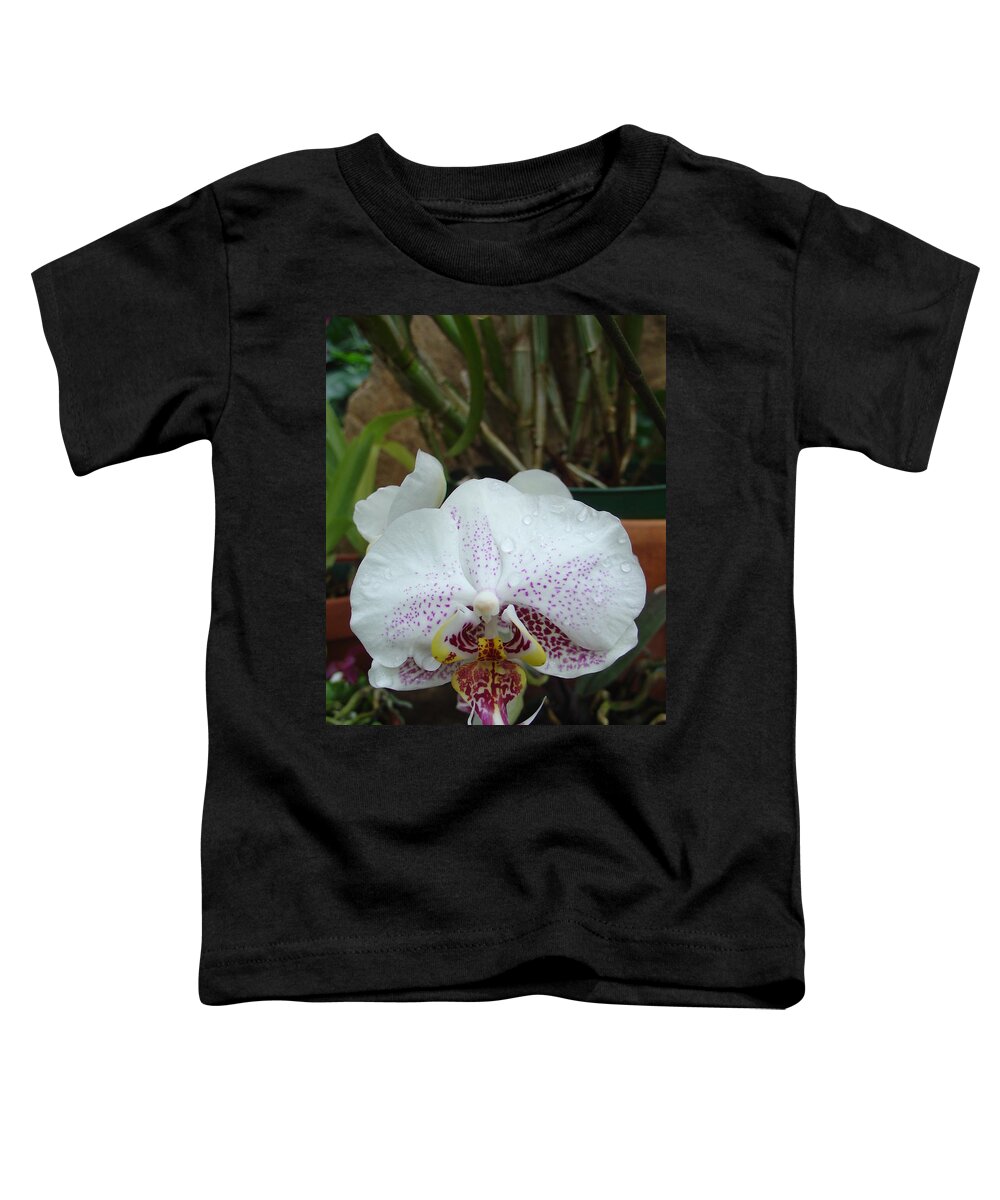 Rain Toddler T-Shirt featuring the photograph Rain Drops on Orchid by Charles and Melisa Morrison