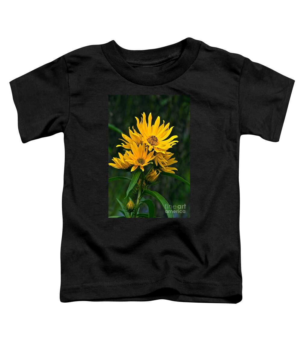 Sunflowers Toddler T-Shirt featuring the photograph Reach For The Autumn Sun by Byron Varvarigos