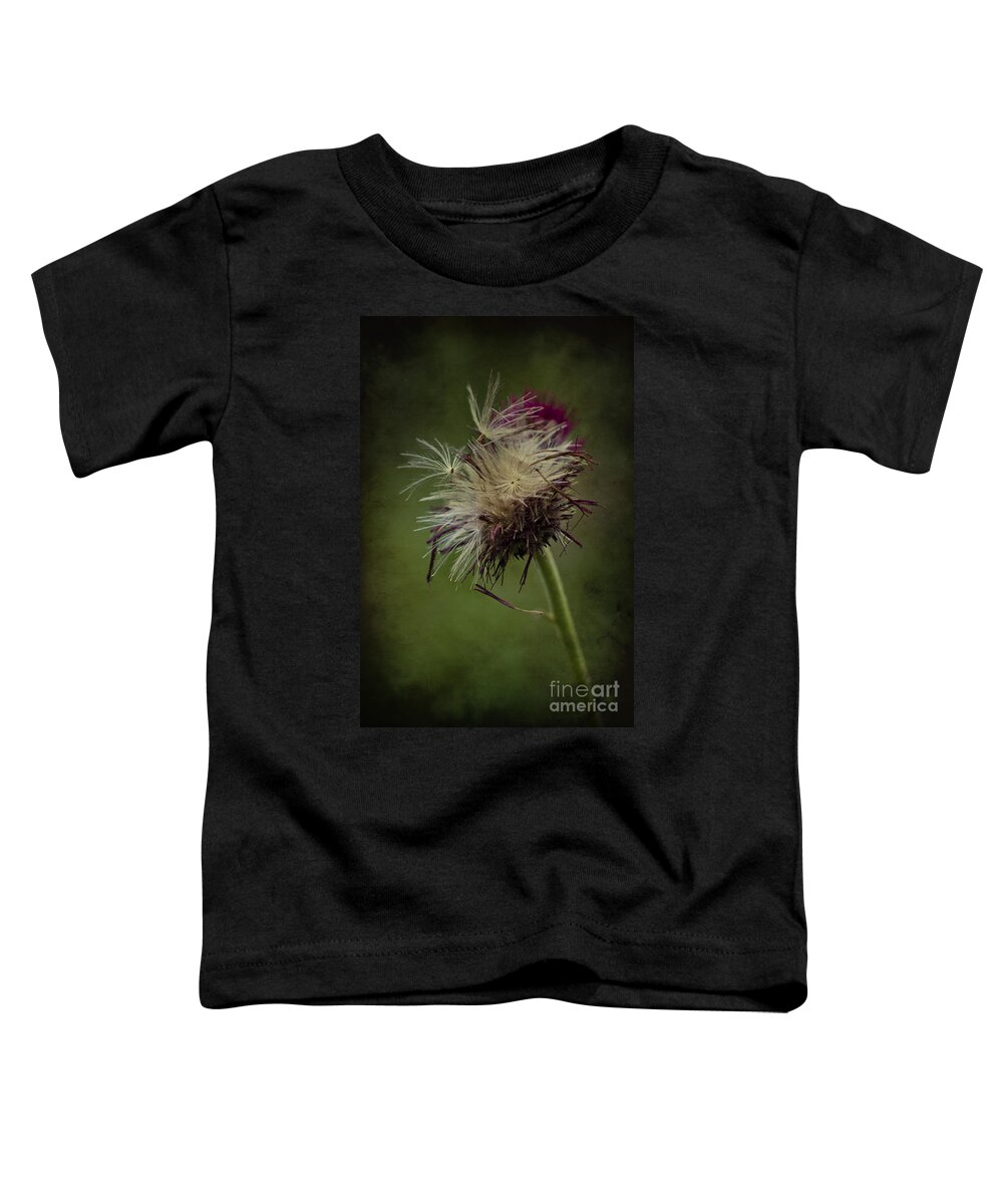 Seeds Toddler T-Shirt featuring the photograph Ready to fly away... by Clare Bambers