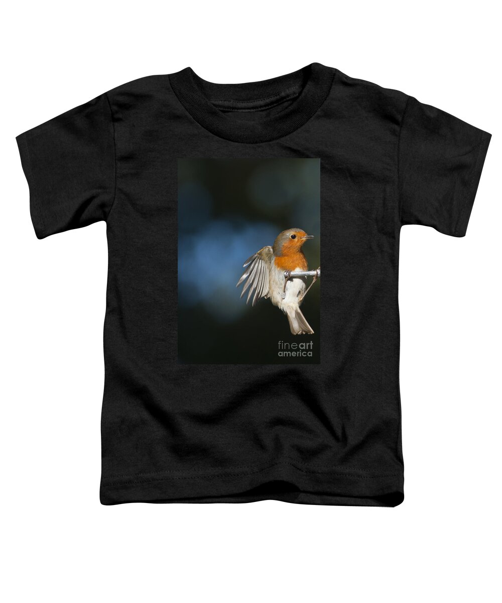 Britain Toddler T-Shirt featuring the photograph Robin by Andrew Michael