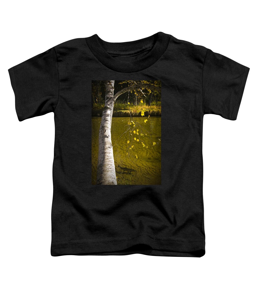 Art Toddler T-Shirt featuring the photograph Salmon during the Fall Migration in the Little Manistee River in Michigan No. 0887 by Randall Nyhof