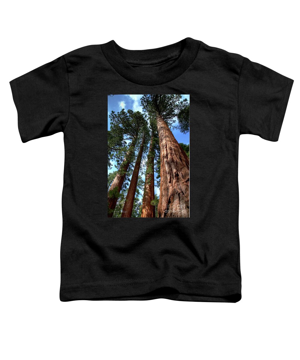 Yosemite Toddler T-Shirt featuring the photograph Skyview by Sue Karski