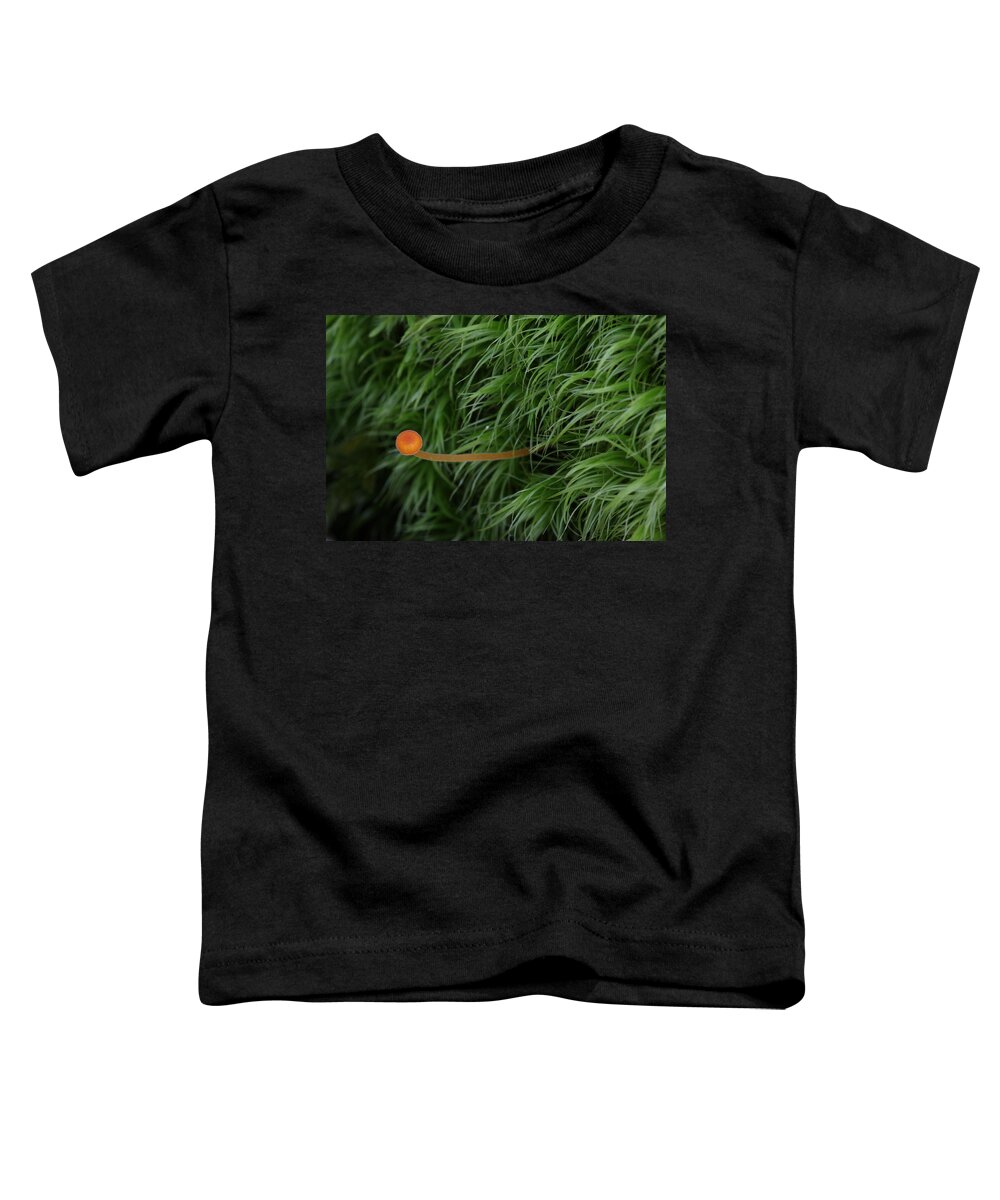 Nature Toddler T-Shirt featuring the photograph Small Orange Mushroom In Moss by Daniel Reed