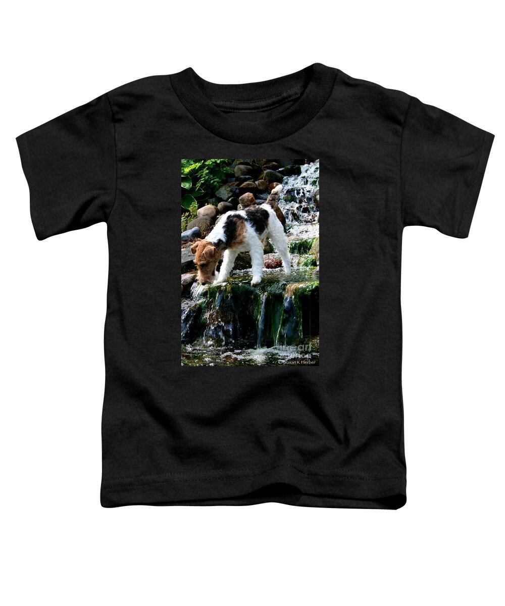 Wirehair Fox Terrier Toddler T-Shirt featuring the photograph Spice Frogging by Susan Herber