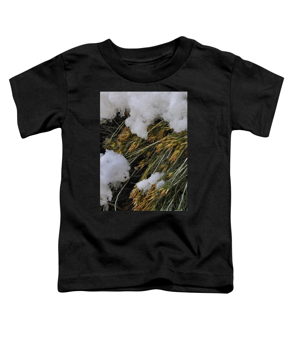 Spring Toddler T-Shirt featuring the photograph Spring Arrives by Ron Cline