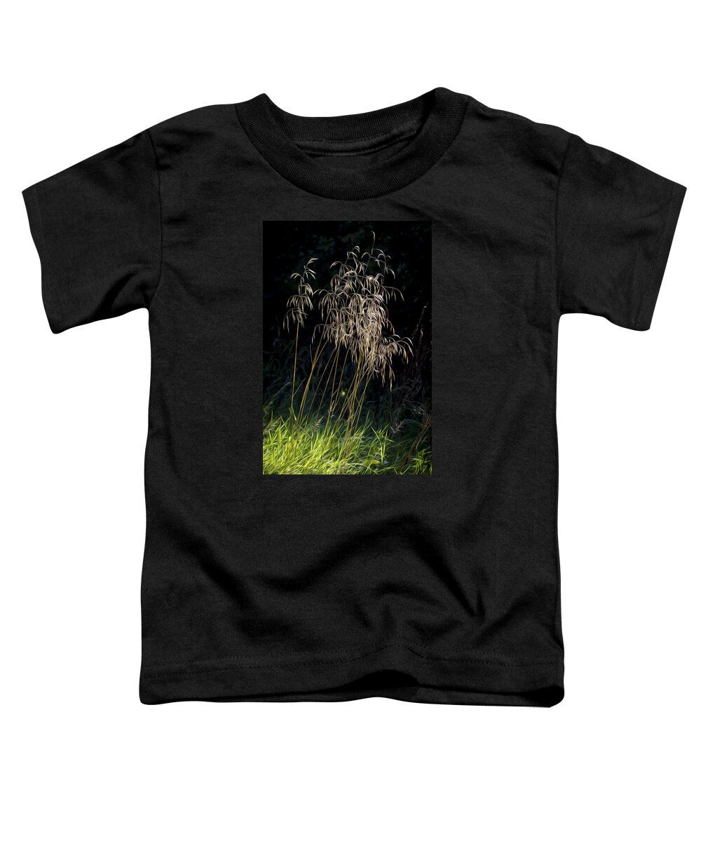 Clare Bambers Toddler T-Shirt featuring the photograph Sunlit Grasses. by Clare Bambers