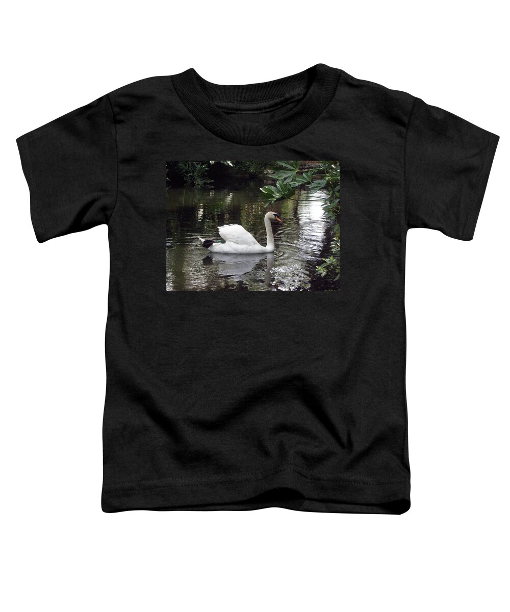 Swan Toddler T-Shirt featuring the photograph Swan beauty by Kim Galluzzo