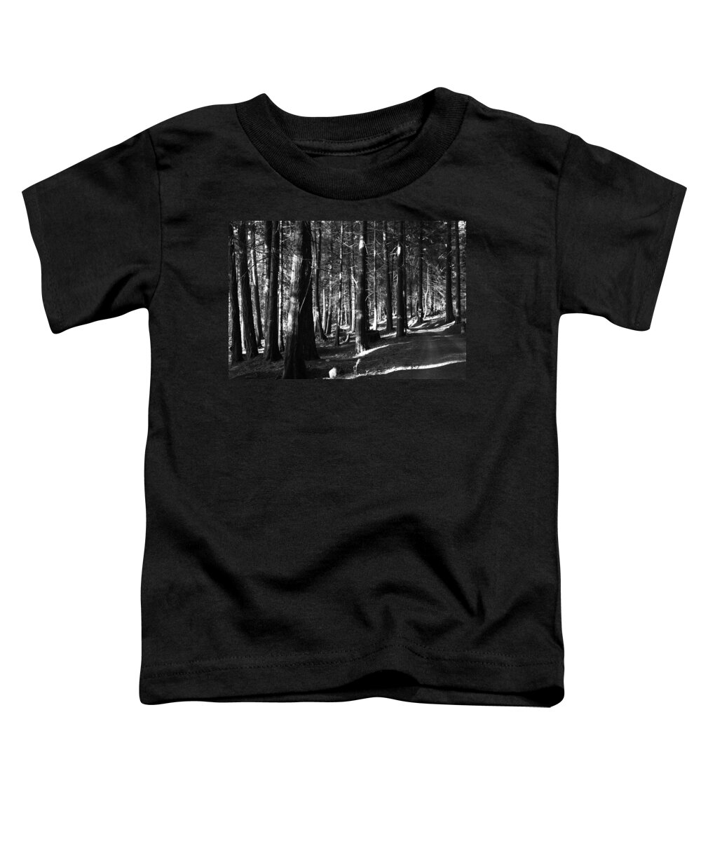 Forest Toddler T-Shirt featuring the photograph The Pathway In by Lorraine Devon Wilke