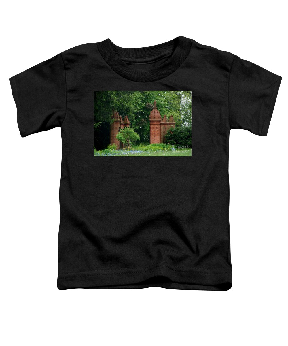 Guildwood Park Toddler T-Shirt featuring the photograph Through the Gate by Grace Grogan