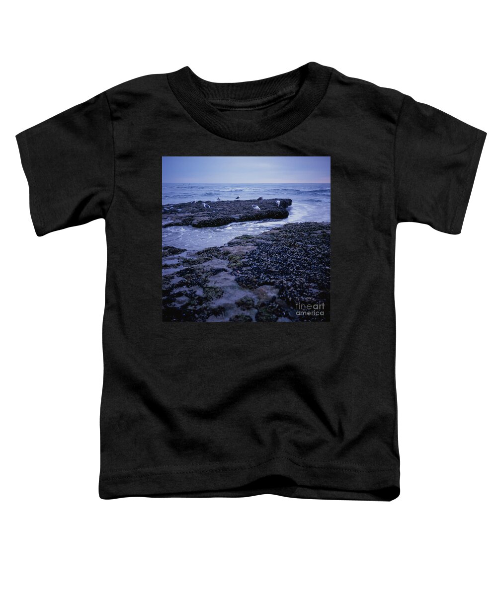 Sunset Toddler T-Shirt featuring the photograph Tidal Birds by Daniel Knighton