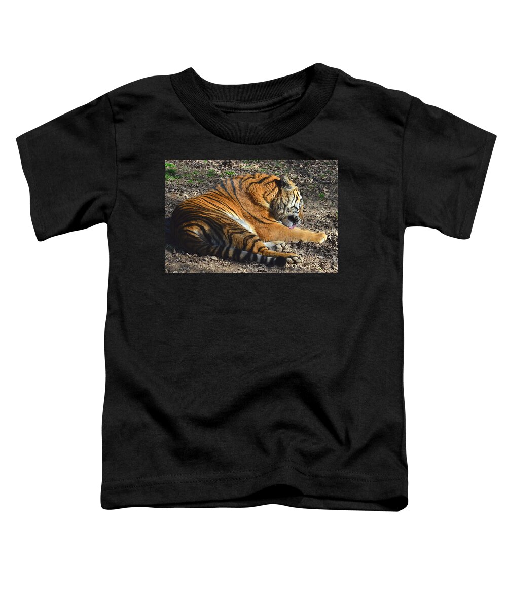 Tiger Toddler T-Shirt featuring the photograph Tiger Behavior by Sandi OReilly