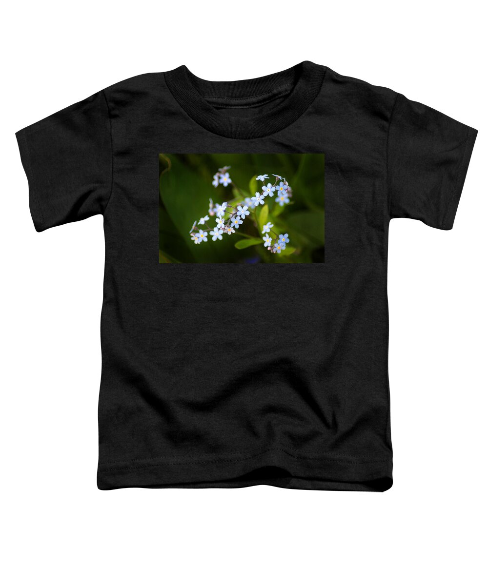 Forget-me-nots Toddler T-Shirt featuring the photograph Tiny Dancers by Bill Pevlor