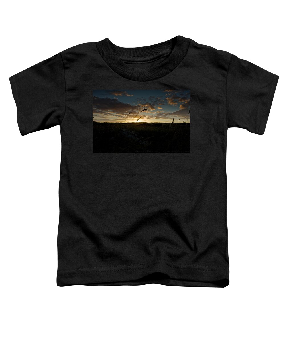 Sunset Toddler T-Shirt featuring the photograph Wheat Fields by B Cash