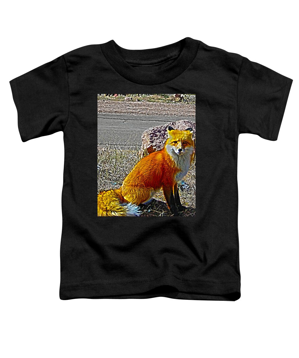 Fox Toddler T-Shirt featuring the photograph Wilbur by Shannon Harrington