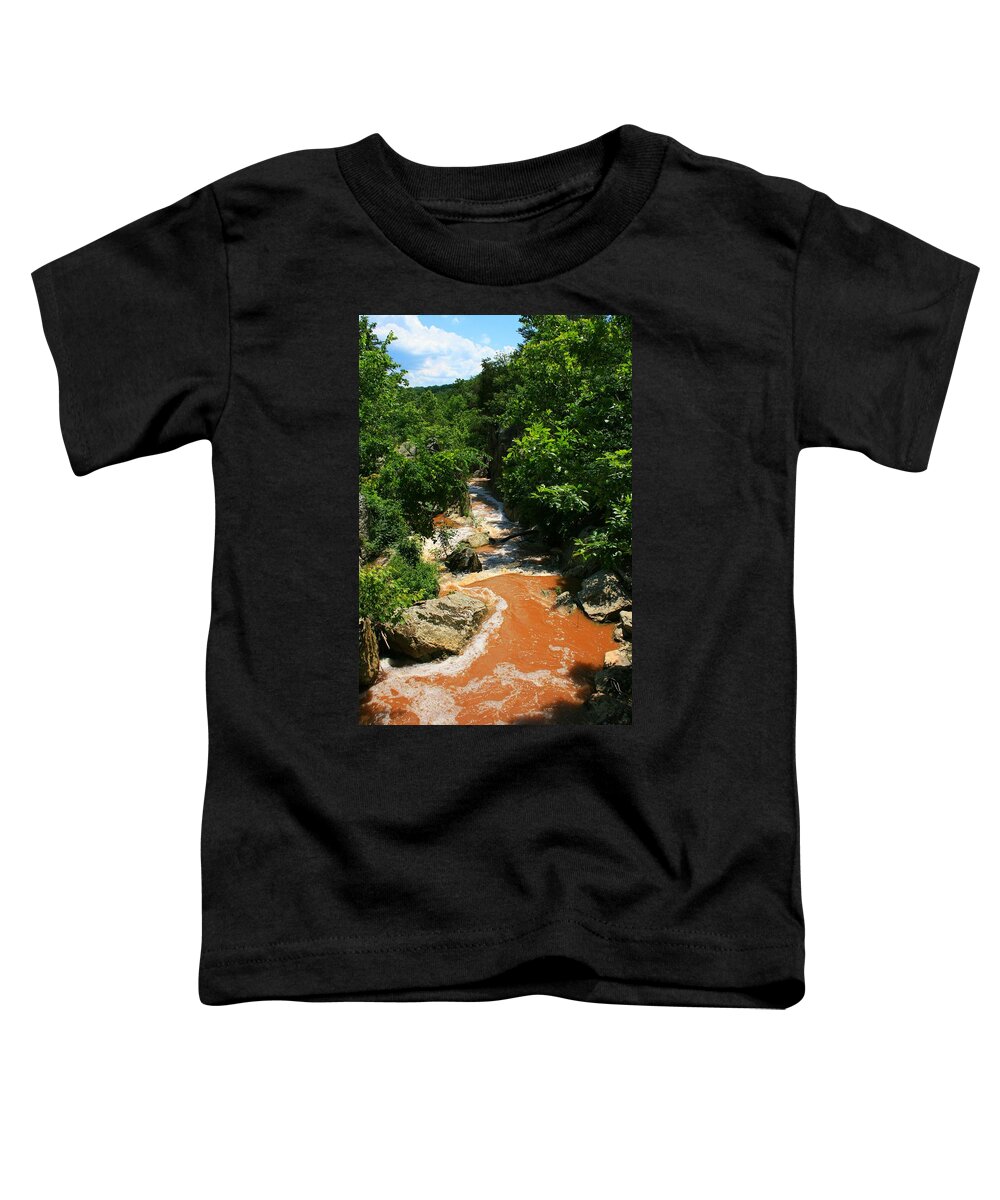 Nature Toddler T-Shirt featuring the photograph Wonka's Wonder by Phil Cappiali Jr