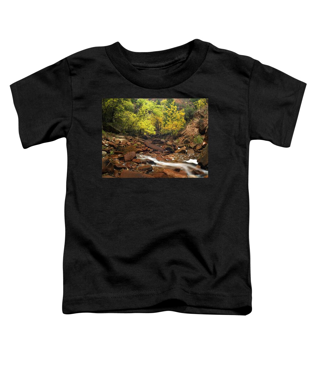 00175182 Toddler T-Shirt featuring the photograph Zion Canyon Near Emerald Pools Zion by Tim Fitzharris