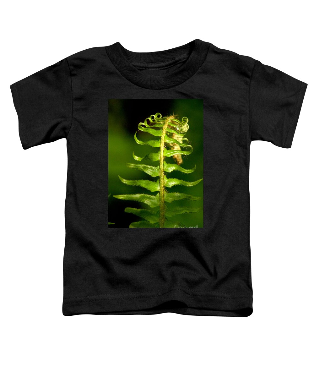 Photography Toddler T-Shirt featuring the photograph A Light in the Forest #1 by Sean Griffin