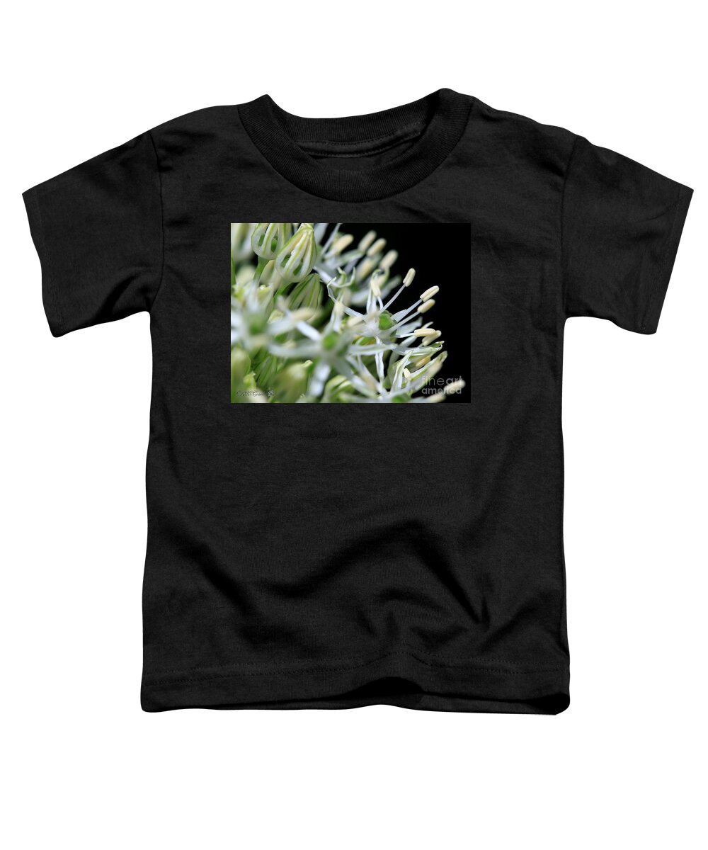 Mccombie Toddler T-Shirt featuring the photograph Allium named Mount Everest #4 by J McCombie