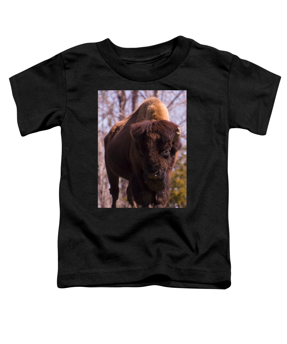 American Bison Toddler T-Shirt featuring the digital art American Bison #1 by Flees Photos