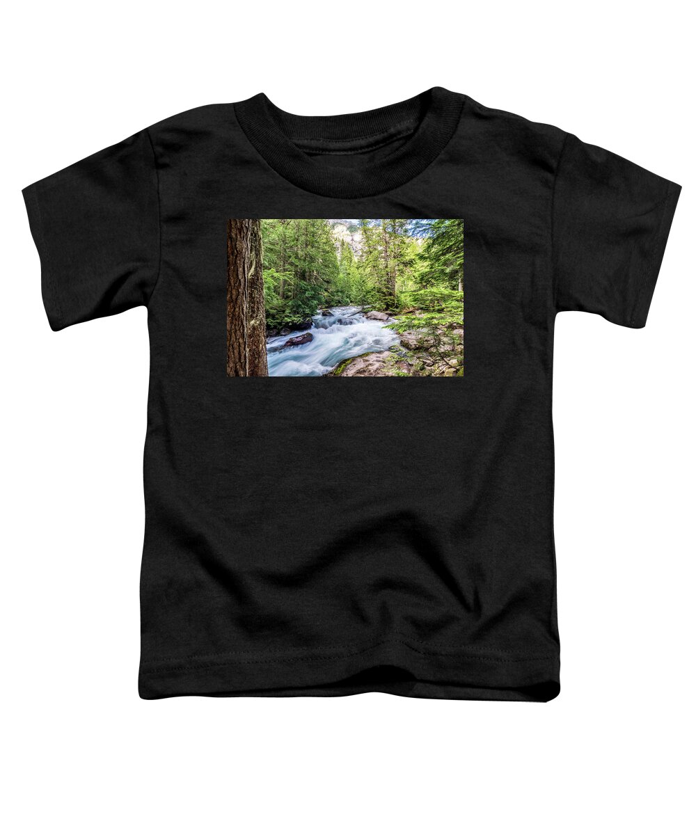 Avalanche Creek Toddler T-Shirt featuring the photograph Avalanche Creek Glacier National Park by Donald Pash
