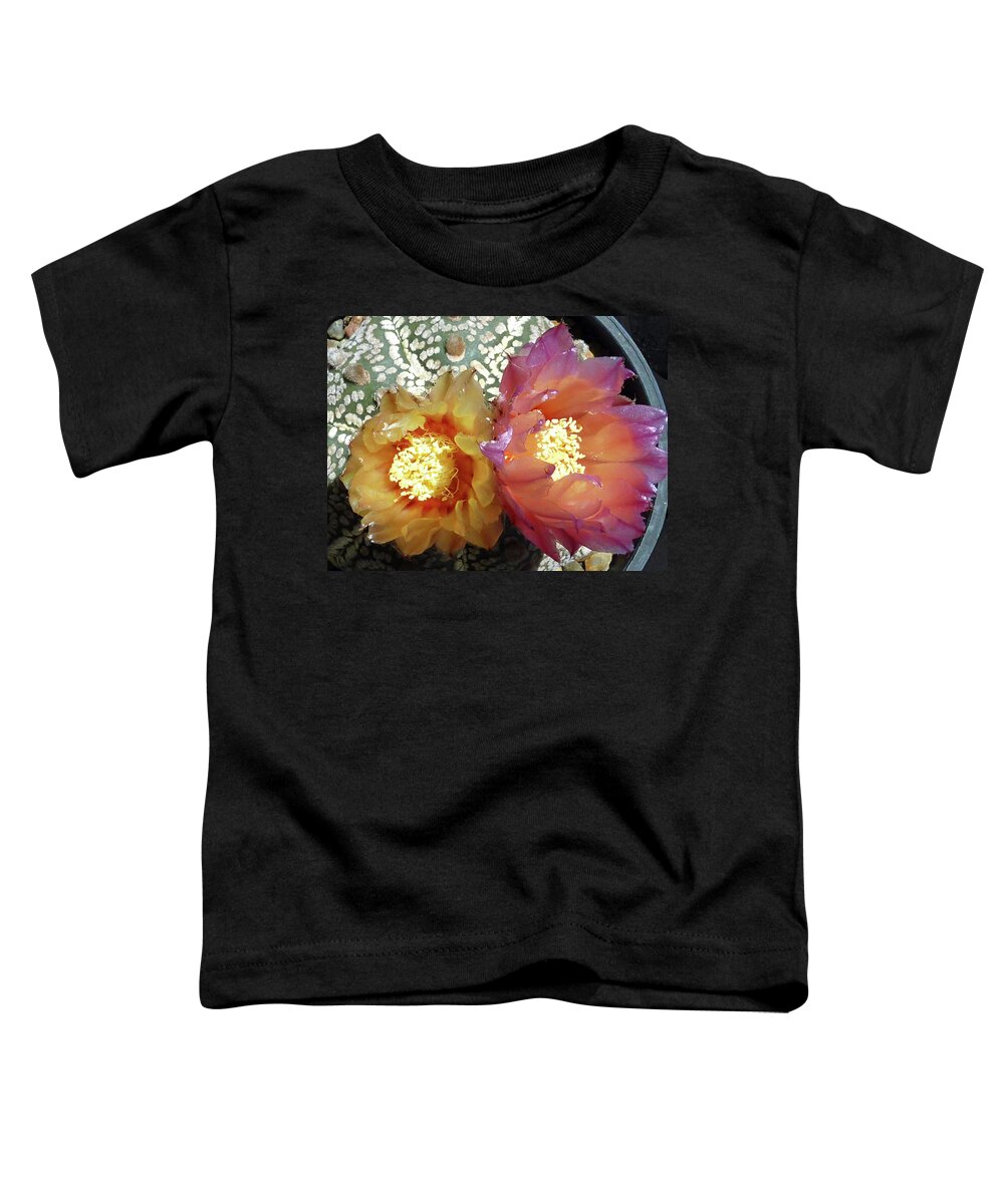 Cactus Toddler T-Shirt featuring the photograph Cactus Flower 3 #2 by Selena Boron