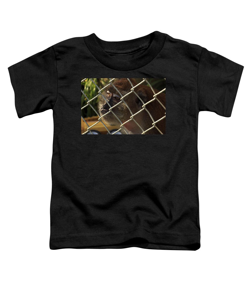 Monkey Toddler T-Shirt featuring the photograph Caged Monkey #1 by Travis Rogers