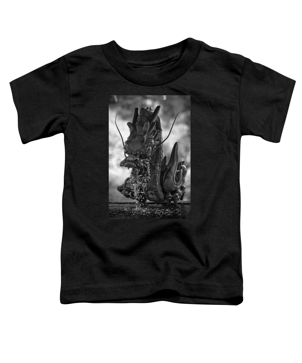 Faa Toddler T-Shirt featuring the photograph Japanese Water Dragon #1 by Sebastian Musial