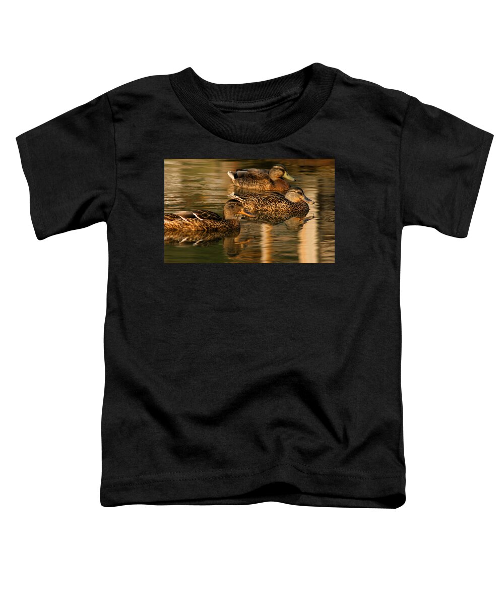 Ducks Toddler T-Shirt featuring the photograph Mallards Swimming in the Water at Magic Hour by Angela Rath