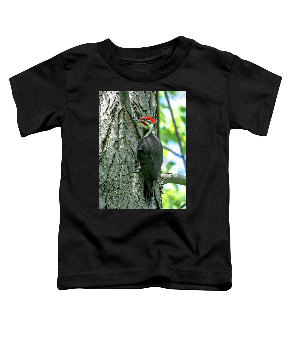Cheryl Baxter Photography Toddler T-Shirt featuring the photograph Mr. Pileated Woodpecker by Cheryl Baxter
