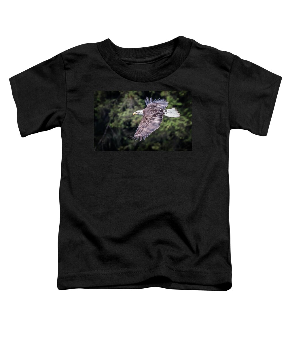 Birds Toddler T-Shirt featuring the photograph Soaring #1 by Bruce Bonnett