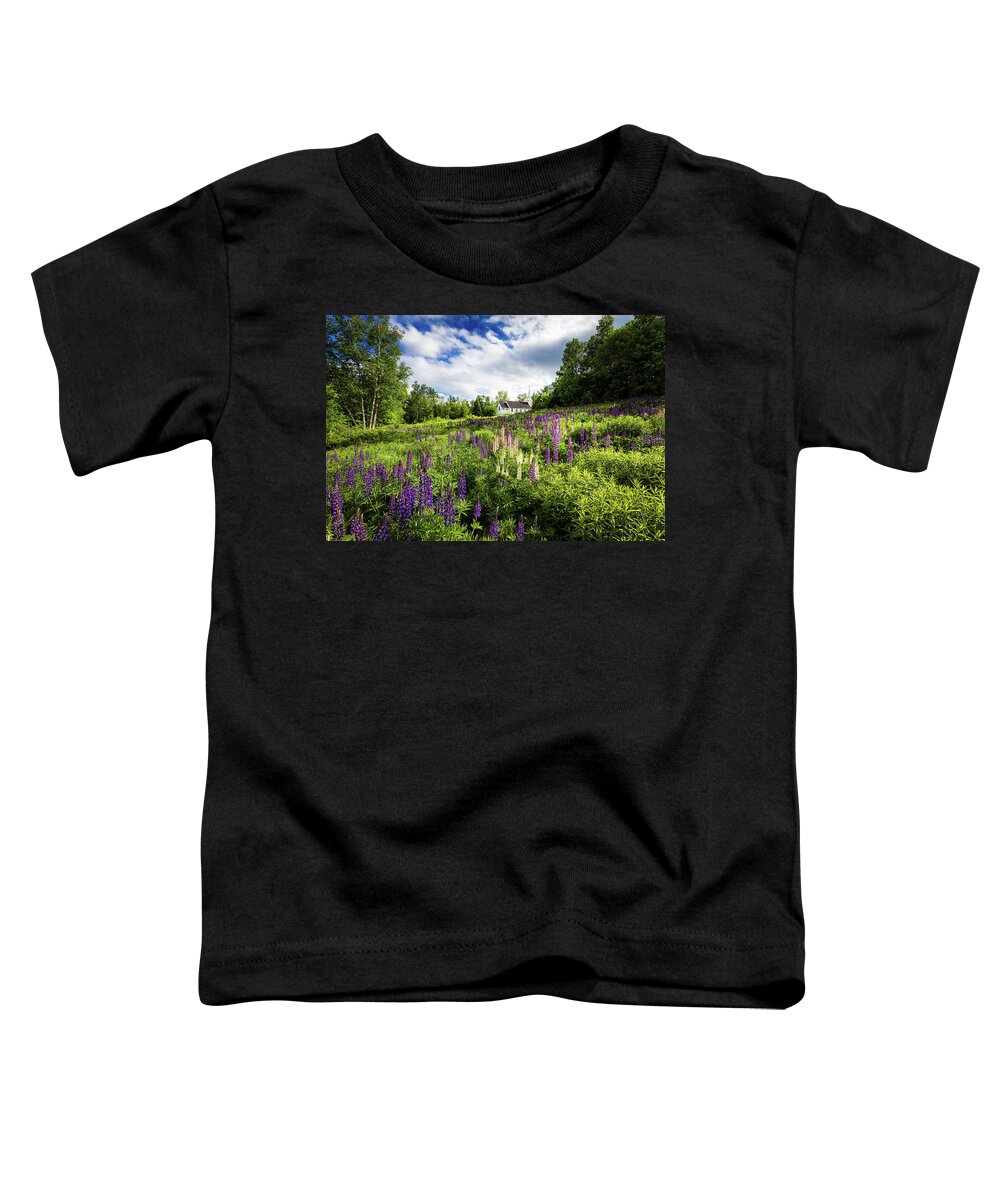 Franconia Notch Toddler T-Shirt featuring the photograph Sugar Hill #1 by Robert Clifford