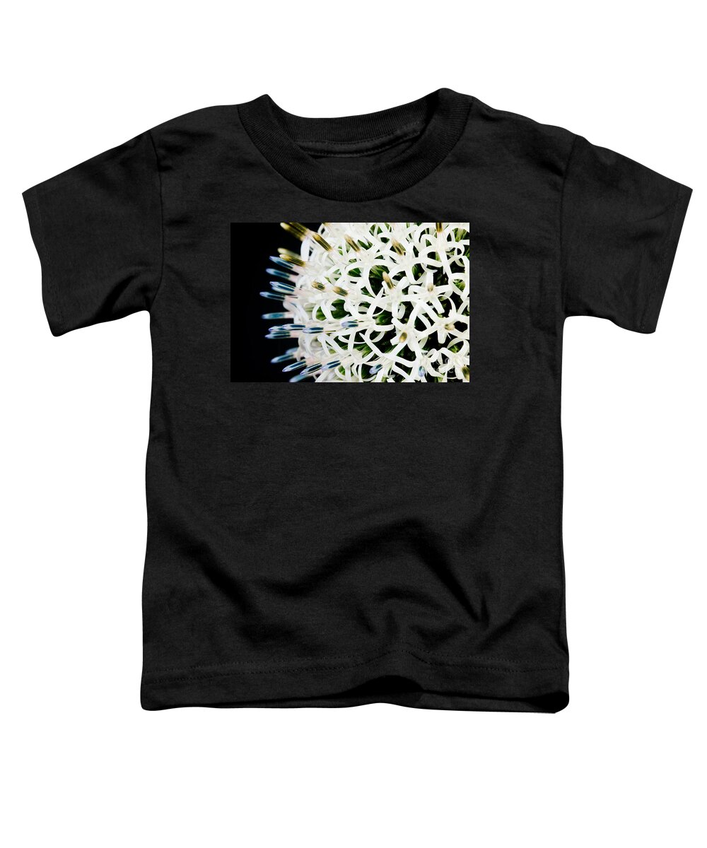 Alium Toddler T-Shirt featuring the photograph White Alium Onion flower #1 by Colin Rayner