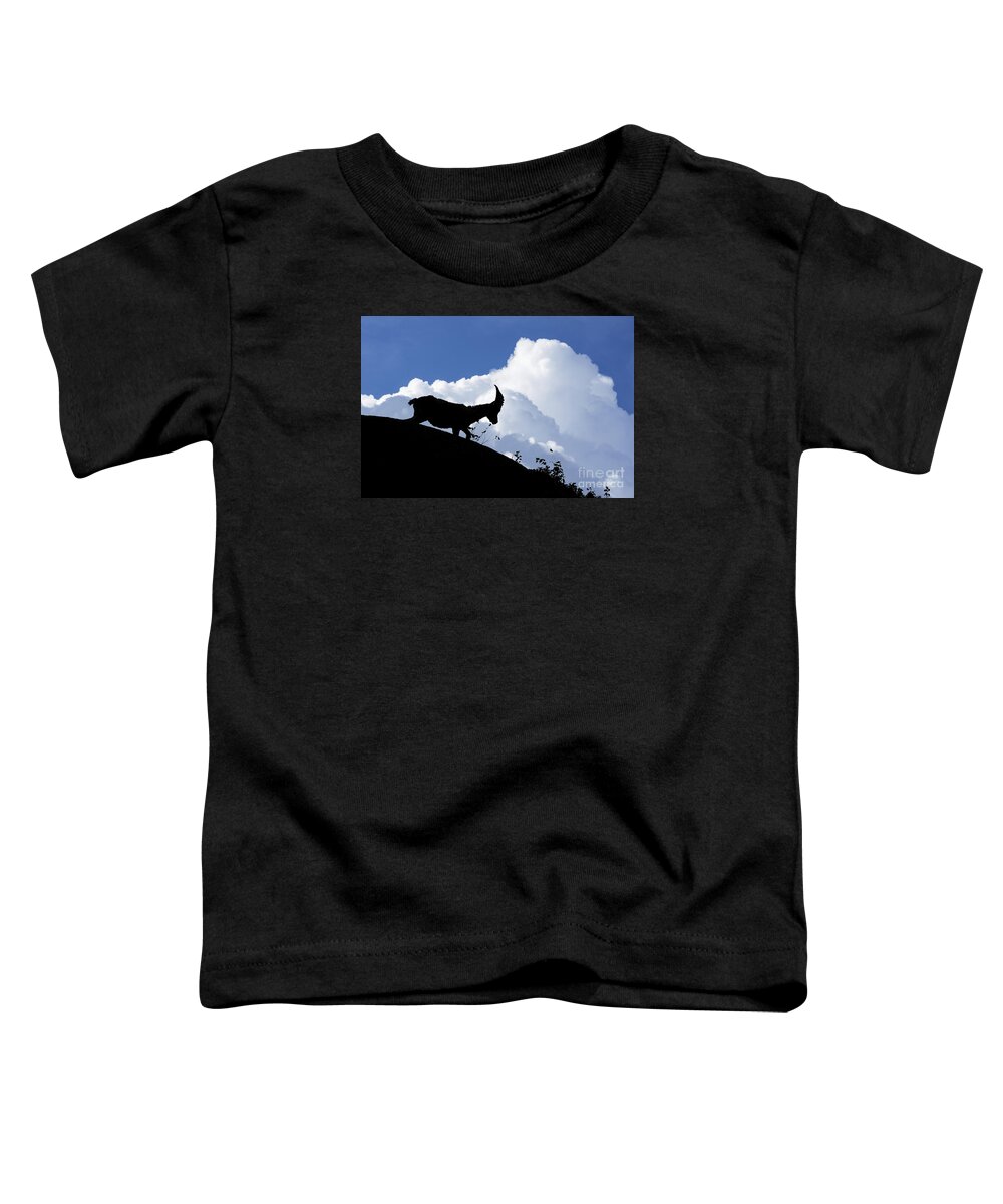 Alpine Ibex Toddler T-Shirt featuring the photograph 150622p053 by Arterra Picture Library