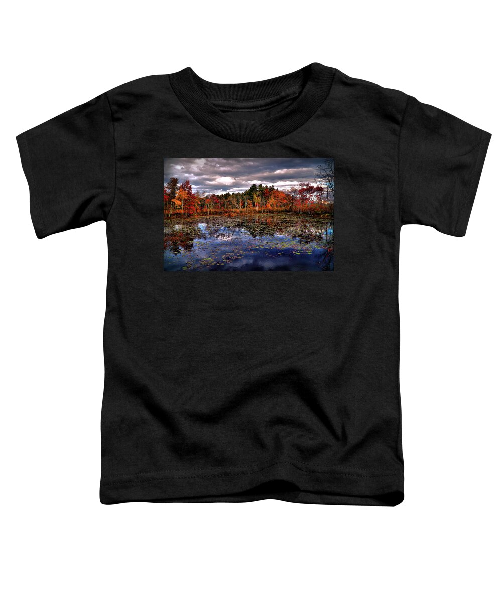 Autumn Toddler T-Shirt featuring the digital art Autumn Landscape #2 by Lilia S