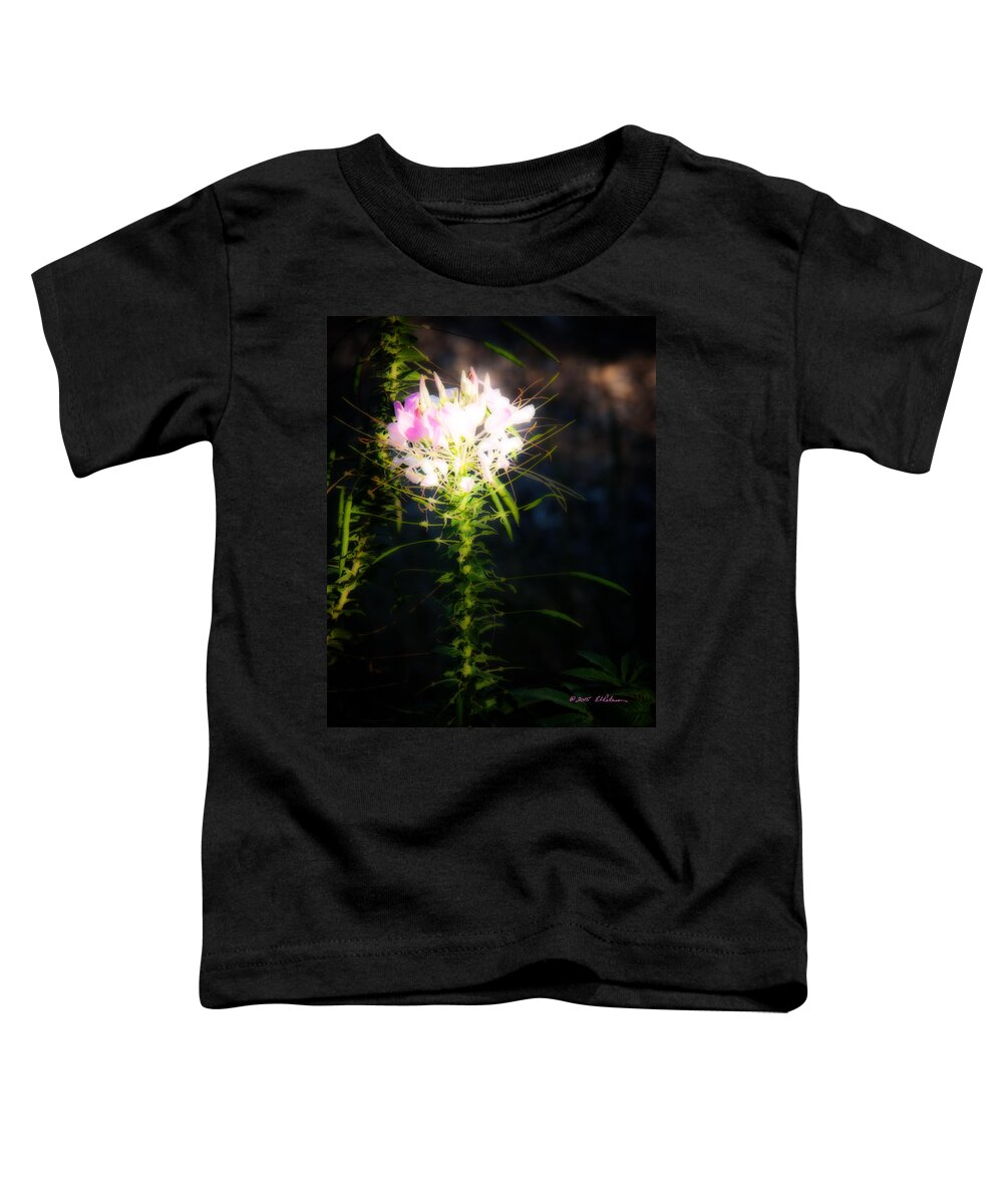 Heron Heaven Toddler T-Shirt featuring the photograph Fall Flower #3 by Ed Peterson