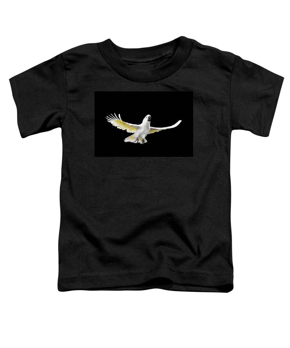 Cockatoo Toddler T-Shirt featuring the photograph Flying Crested Cockatoo alba, Umbrella, Indonesia, isolated on Black Background by Sergey Taran