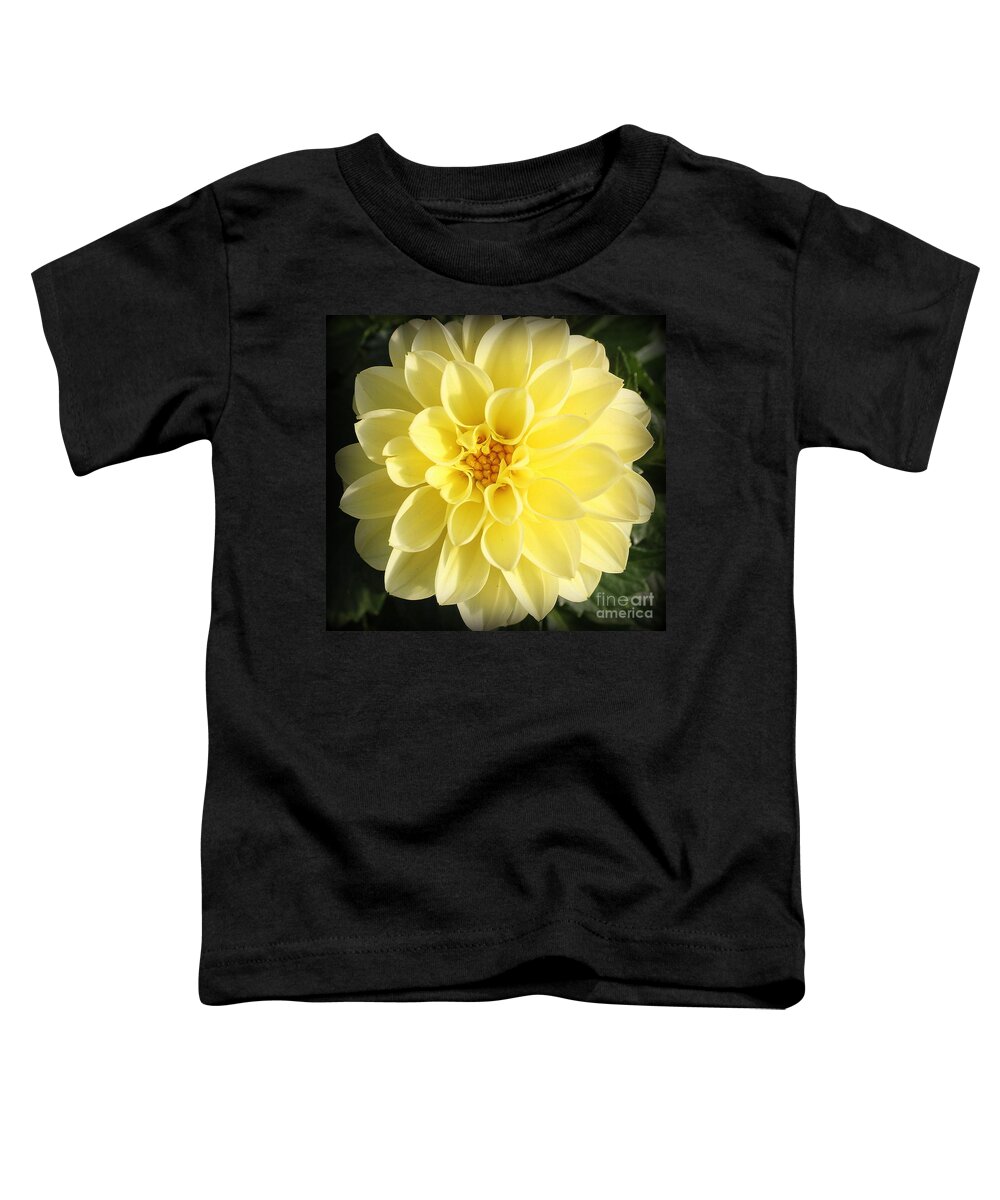 Nature Toddler T-Shirt featuring the photograph Glowing Yellow Dahlia #1 by Dora Sofia Caputo