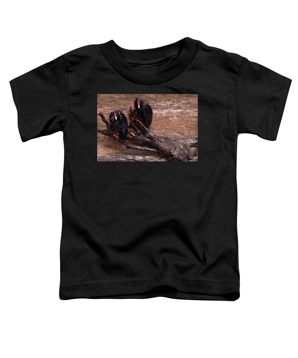 3d Toddler T-Shirt featuring the mixed media 2 Hulking Vultures by Roger Swezey